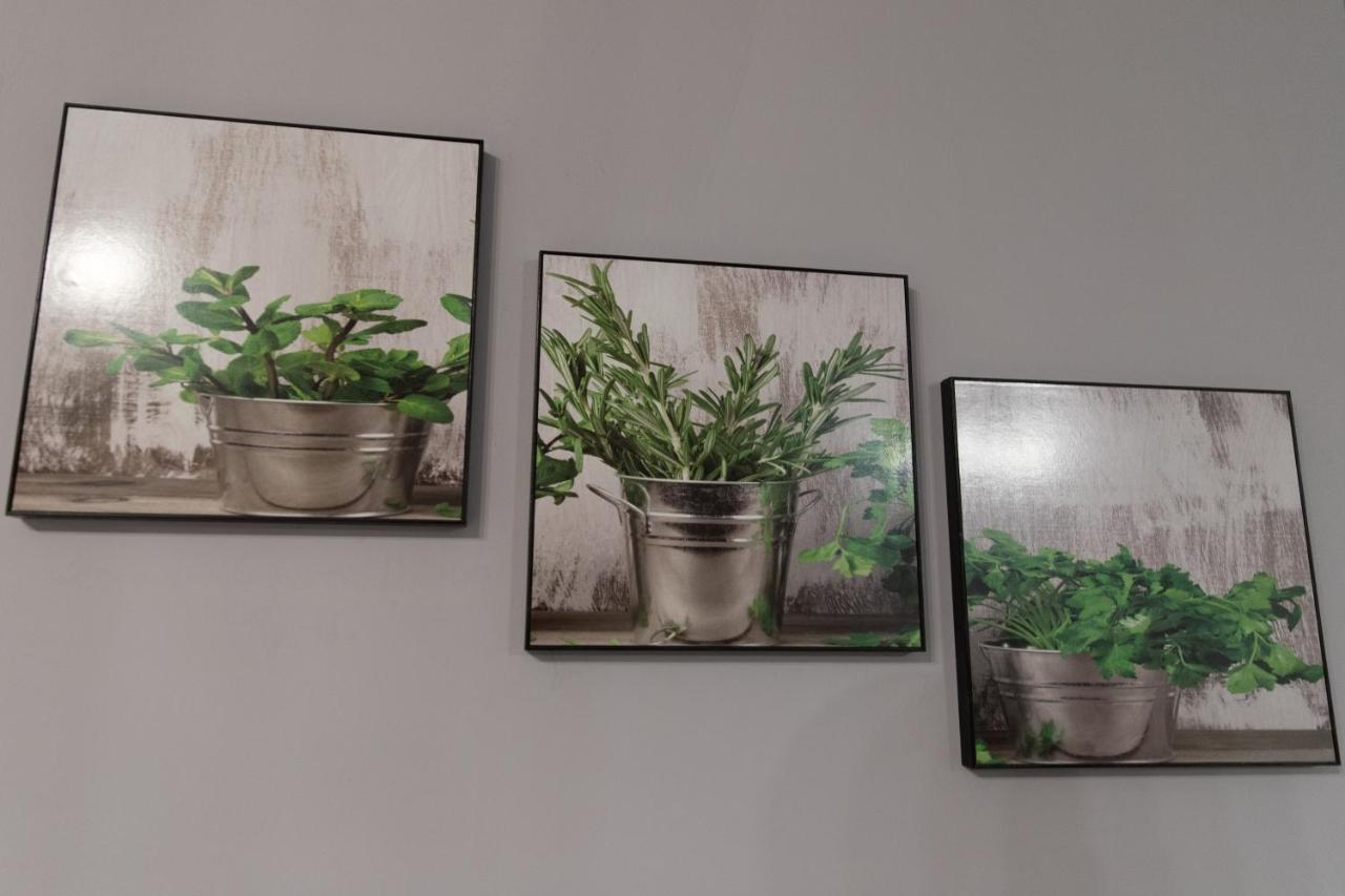 Apartament Marlenka Nysa Bagian luar foto